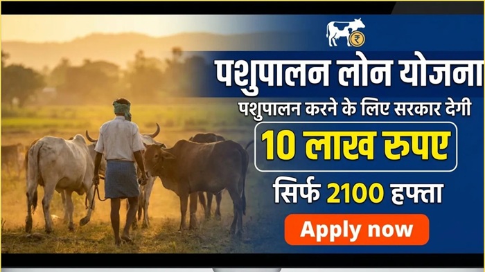 Animal Husbandry Loan Scheme 2026