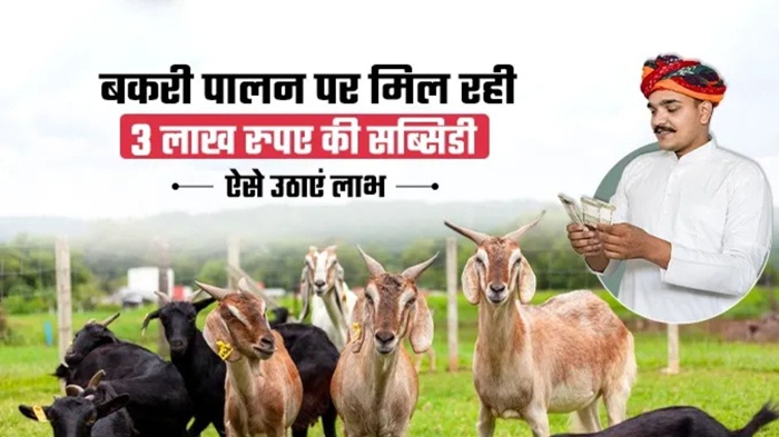 Goat Farming Loan Scheme 2026