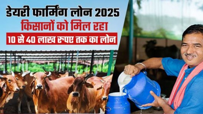 Dairy Farming Subsidy Loan