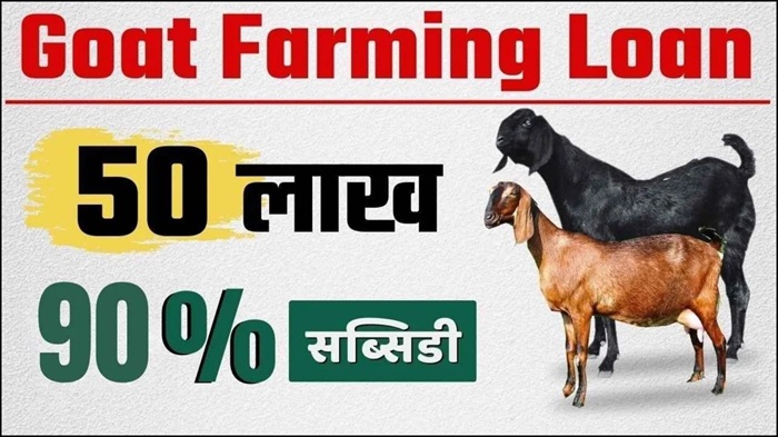 Goat Farming Subsidy Loan 2026
