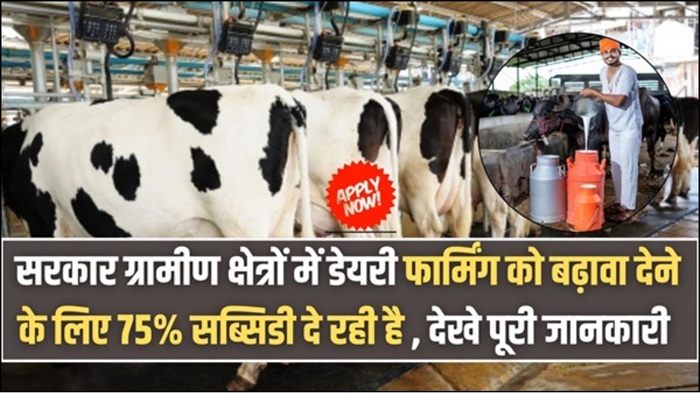 Dairy Farming Subsidy Loan 2026