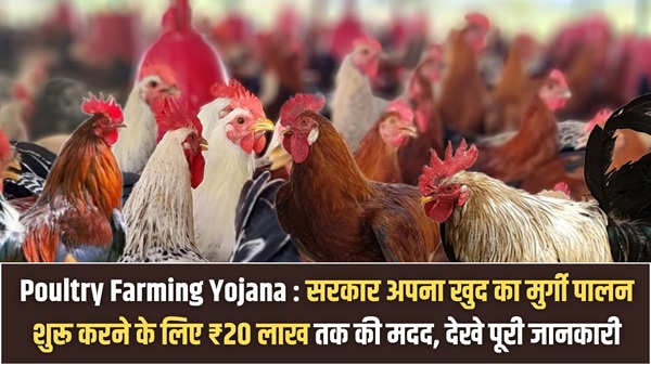 Poultry Farming Loan Yojana