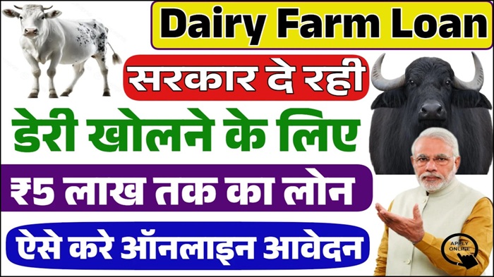 Dairy Farm Business Loan