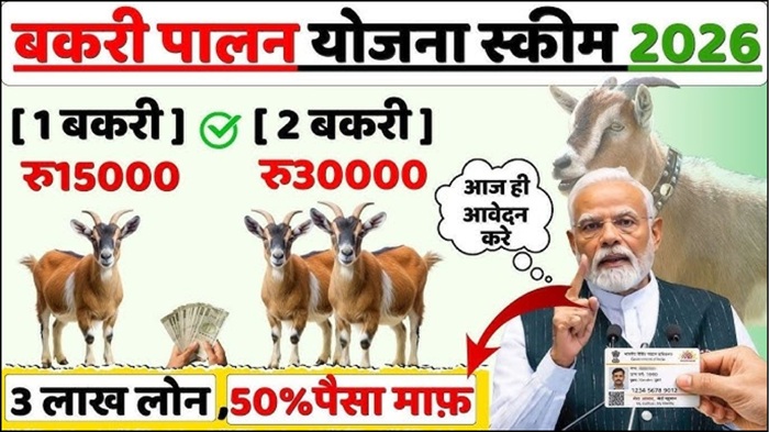 Bakri Palan Loan Yojana 2026