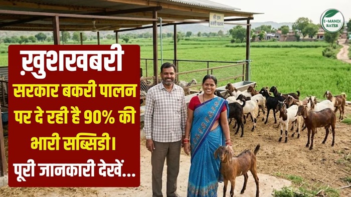Goat Farming Subsidy Loan