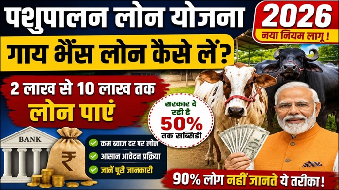 Government Loan