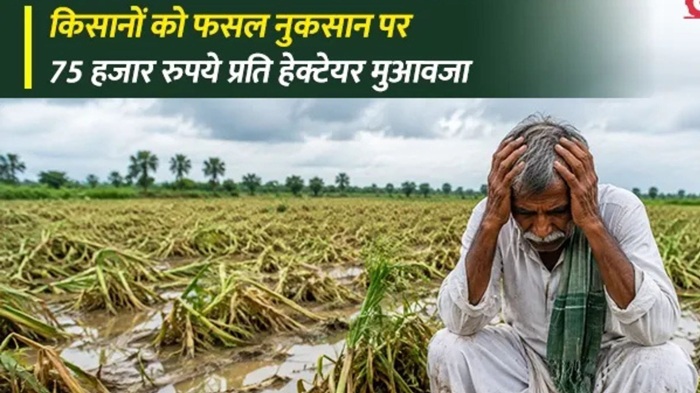Crop Insurance